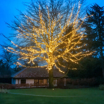 Grote boom met kerstverlichting