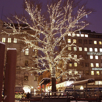 boomverlichting grote boom