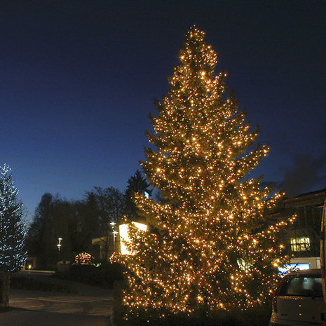 kerstboom verlichting