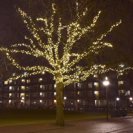 boomverlichting in grote boom