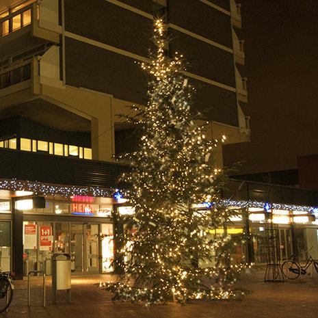 kerstboom marktplein