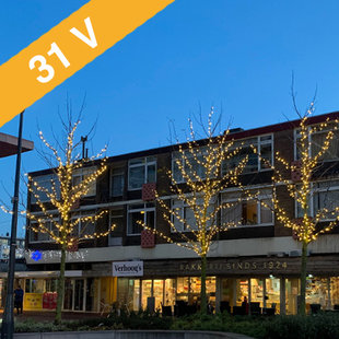 Boomverlichting op 31V laagspanning