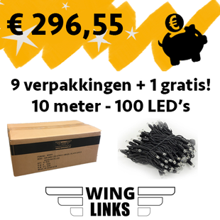 10 verpakkingen - 10m met 100 LED's