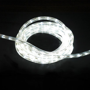 AS Rope Light 30 (koud wit )