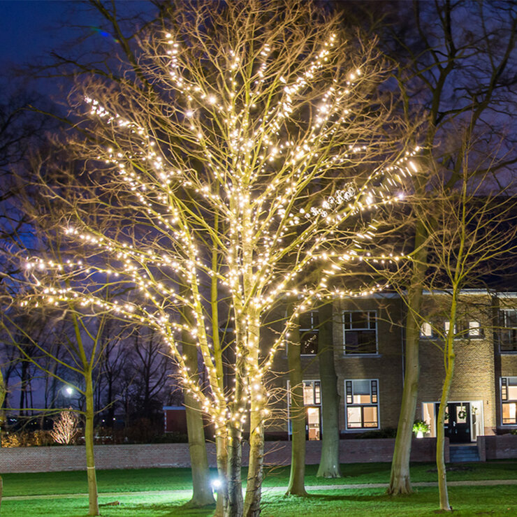 Boomverlichting laagspanning