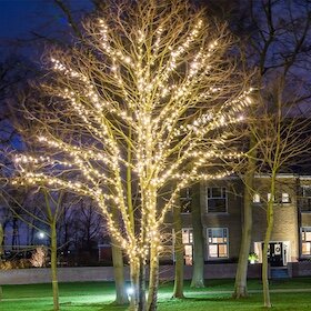 Boomverlichting laagspanning
